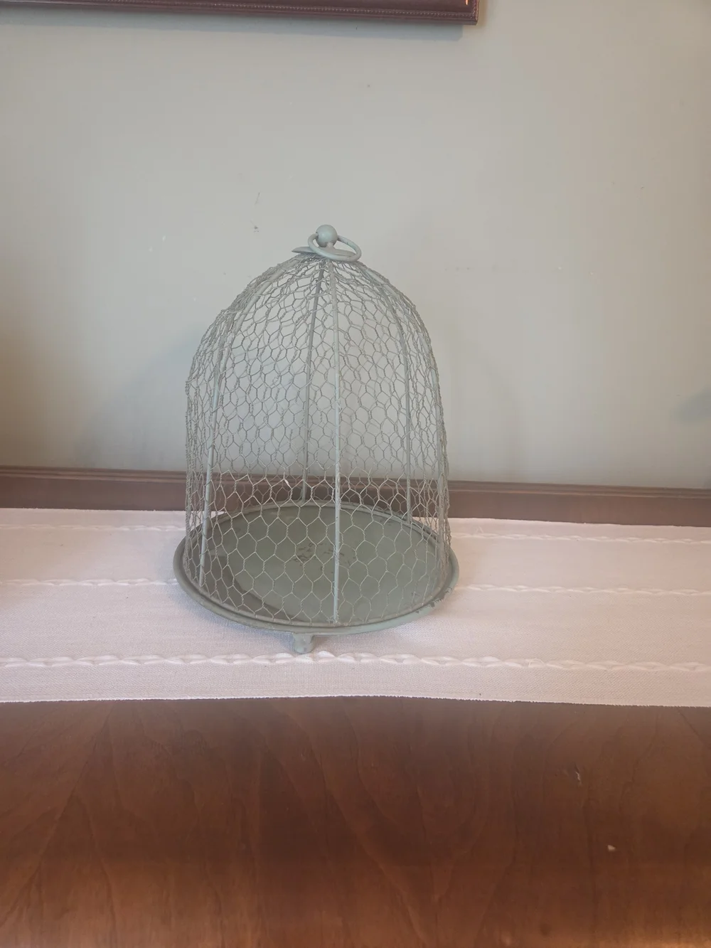 Decorative  Farmhouse Wire Dome Cloche - Pale Sage Green